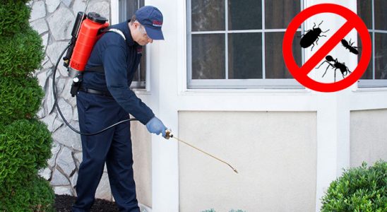 Üsküdar Tahtakurusu İlaçlama böcek ilaçlama ve haşere kontrolü — ilaclama-tr.com